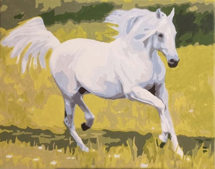 White Horse - Pictură pe numere - 2 | YEO